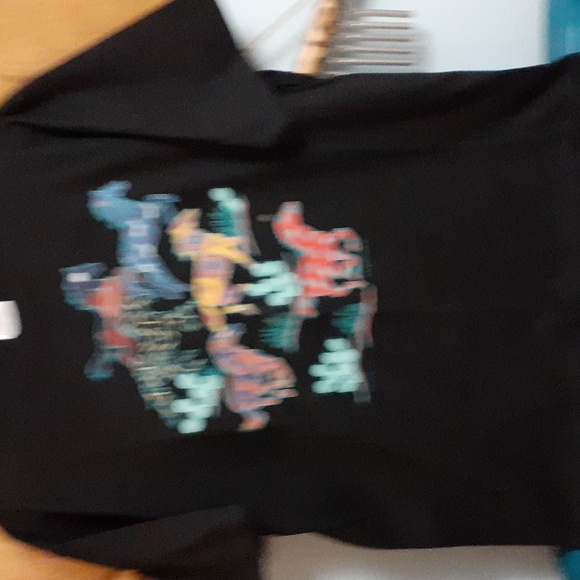 Hanes Other - Vintage blac tee-shirt with beautiful desert paints picture of horses and cactus